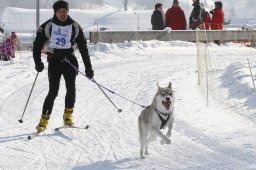 Lenk 2012 SM